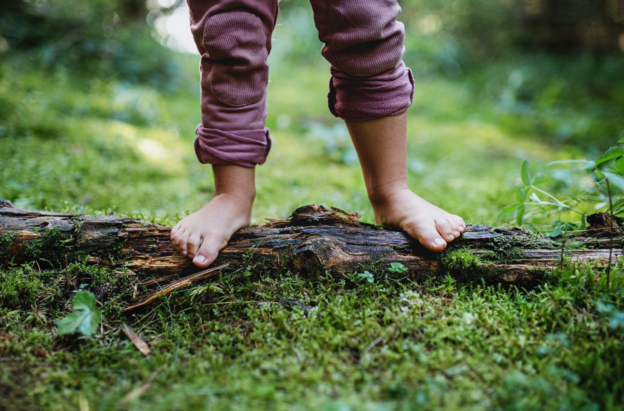 Bare feet of small child standing barefoot outdoors in nature, grounding concept